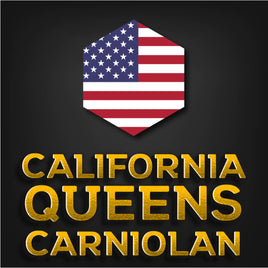 Carniolan Imported Queen - California 2024