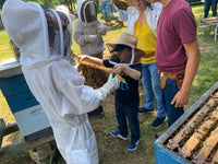 Intro To Beekeeping: In Beeyard Experience (Aug 10, 2024 @ 1:00pm)